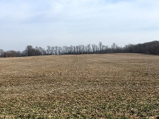 Property photo 1 - FARMLAND AUCTION - 145+/- ACRES IN 4 TRACTS FROM 3-52 ACRES IN WAYNE COUNTY